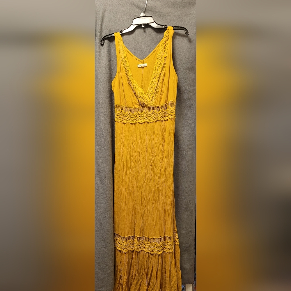 Large BaileyBlue dress.